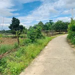 Bán đất 2000m2 Phú Lập Hóc Môn gần chợ 13 - Ảnh thu nhỏ 5