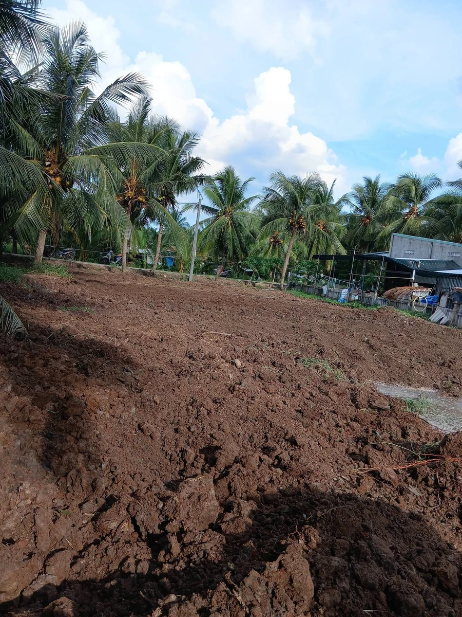 Bán đất Quới Điền Bình Tân, 504m², 600 triệu - Ảnh 1
