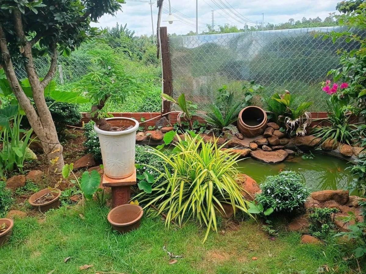 Bán đất vườn 1.040m² Thôn 6 Phạm Ngũ Lão 2 tỷ 450 triệu - Ảnh thu nhỏ 4