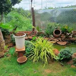 Bán đất vườn 1.040m² Thôn 6 Phạm Ngũ Lão 2 tỷ 450 triệu - Ảnh thu nhỏ 4