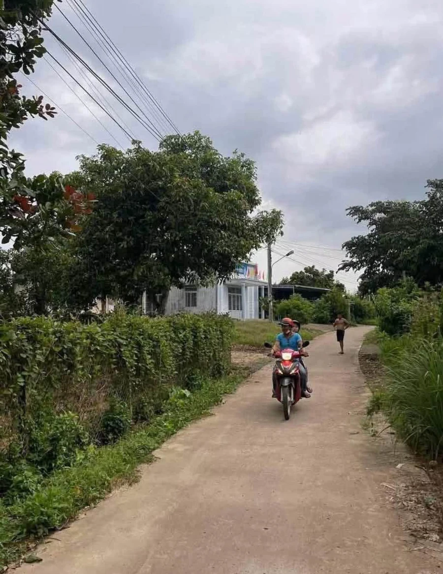 Bán đất Tân Phú 6x34m (204m²) 645 triệu Thanh Sơn - Ảnh 1