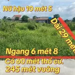 Bán lô đất thổ cư 244m² gần Quốc Lộ 1A Hàm Thuận Nam giá 400 triệu - Ảnh thu nhỏ 4