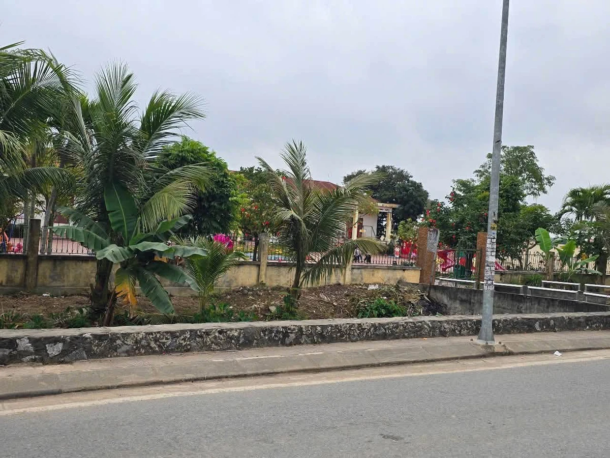 Bán lô góc 93m2 mặt thôn Qế Lâm, Kiến Thuỵ, Hải Phòng - Ảnh thu nhỏ 3