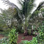 Nhà vườn bán 700m² 3 phòng ngủ Phường Xuân Lập Long Khánh - Ảnh thu nhỏ 4