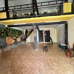 Cho thuê nhà mặt tiền Trần Hưng Đạo, Quy Nhơn, 200m2, 15tr/tháng - Ảnh thu nhỏ 1