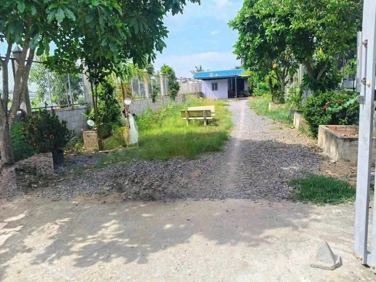 Bán đất vườn mặt tiền 800m² Bến Lức Long An - Ảnh thu nhỏ 3