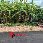 Bán nền 100m² thổ cư Lê Thị Bái, Quận 12 - 1 tỷ 390 triệu - Ảnh thu nhỏ 3