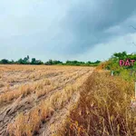 Bán đất nền 100m² đường Võ Trường Toản, Rạch Giá 399 triệu - Ảnh thu nhỏ 5