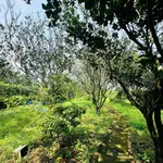 Bán nhà vườn 2335m2 với hồ bơi, Đồng Nai - Ảnh thu nhỏ 5