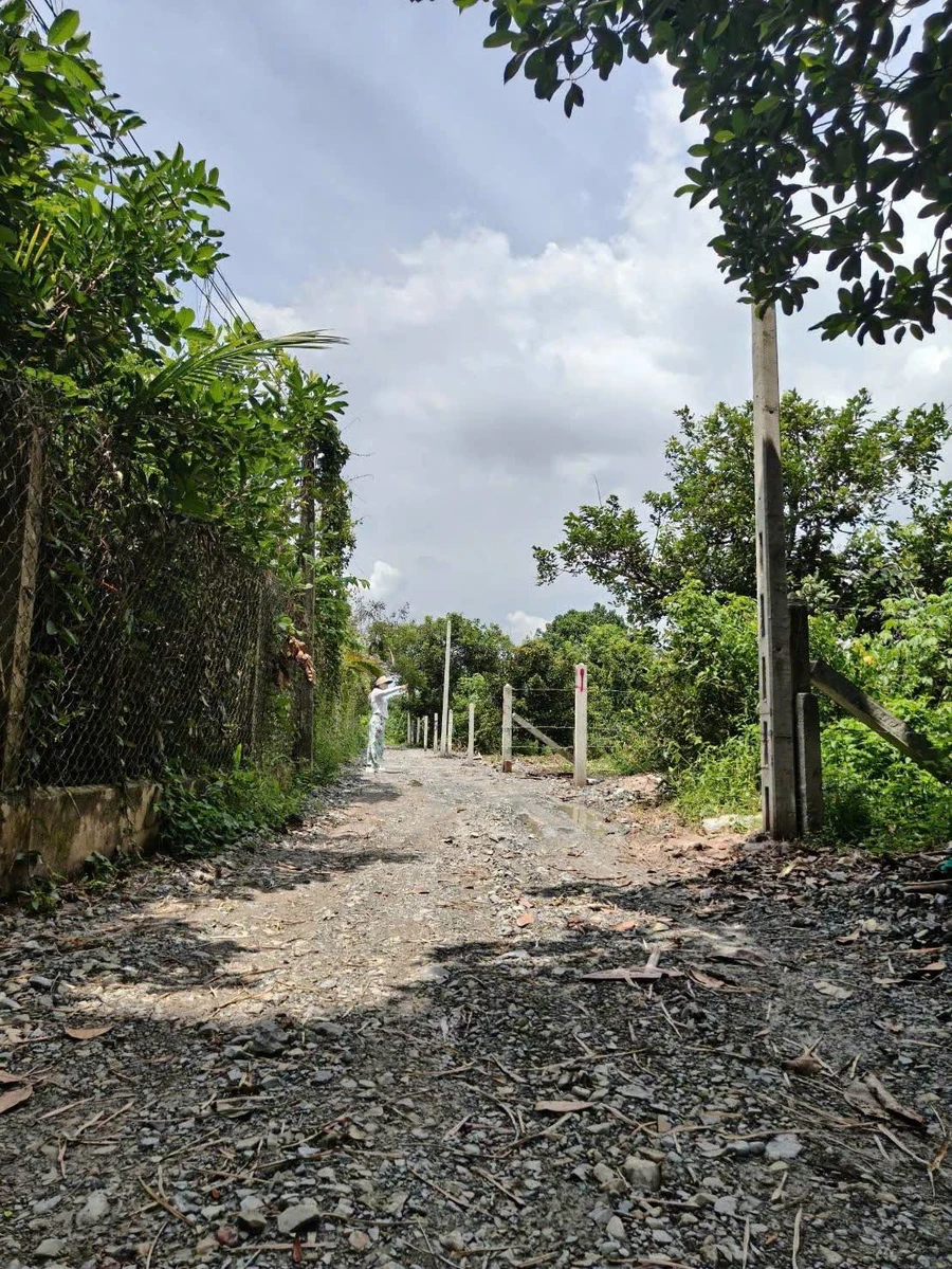 Bán đất 70m² tại Trường Hòa, Tây Ninh – 250 triệu - Ảnh thu nhỏ 3