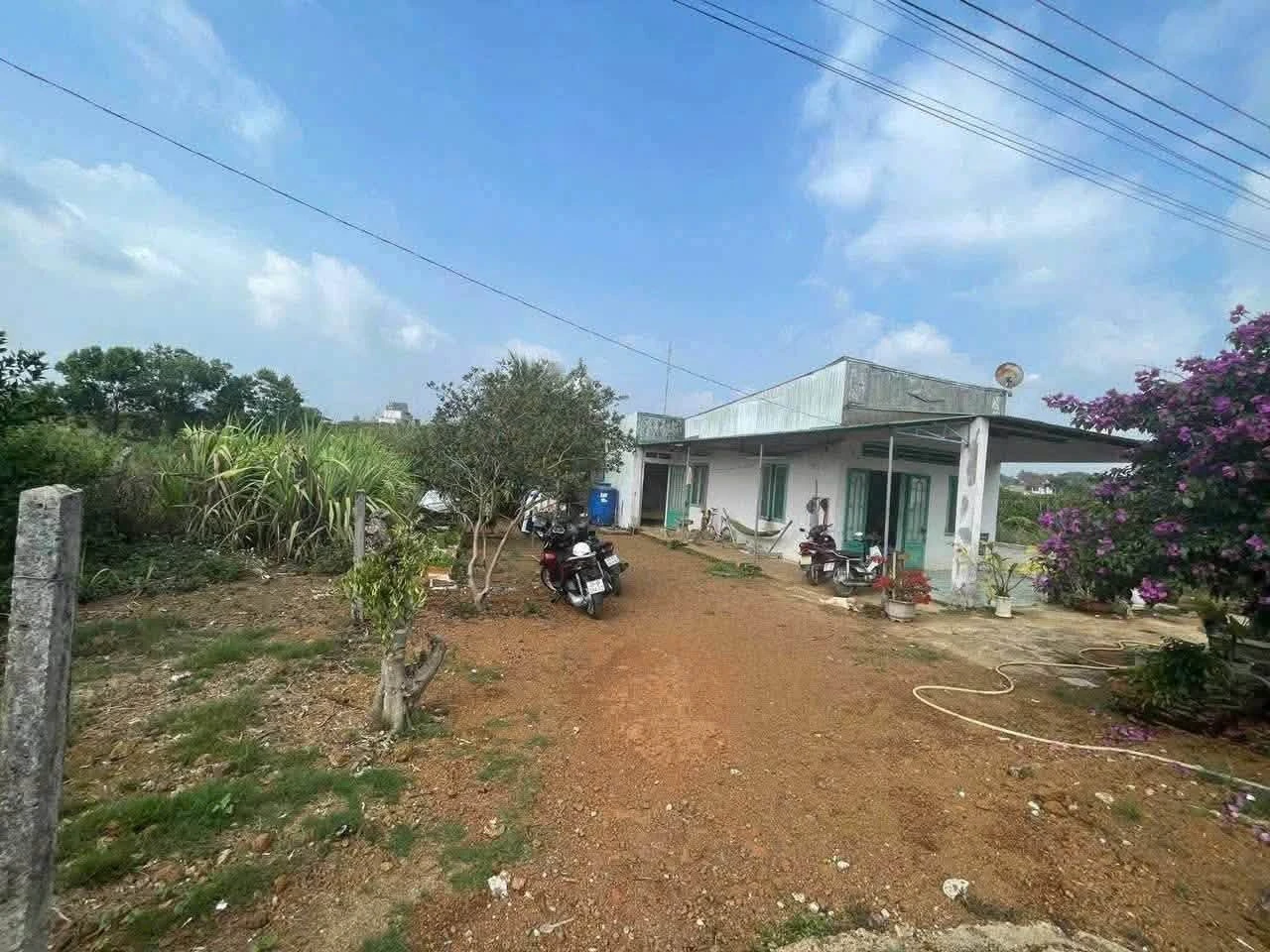 Bán đất 952m² có nhà, ao, giáp suối Bảo Lộc 2.3 tỷ - Ảnh 1