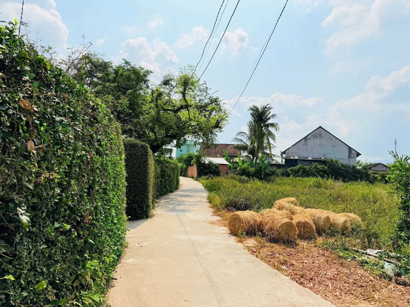 Bán lô đất An Sơn Phước An 100m2 390 triệu
