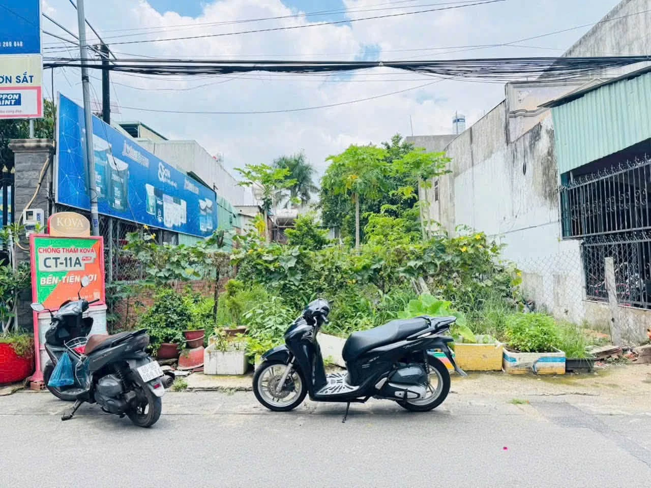 Bán lô đất thổ cư sổ riêng ngang 7m8 sát đường Đồng Khởi, Phường Trảng Dài, Đồng Nai - Ảnh 1