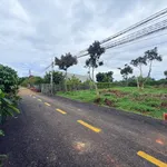 Bán lô đất 72m² mặt tiền Tân Hội, Bình Tân - Ảnh thu nhỏ 4