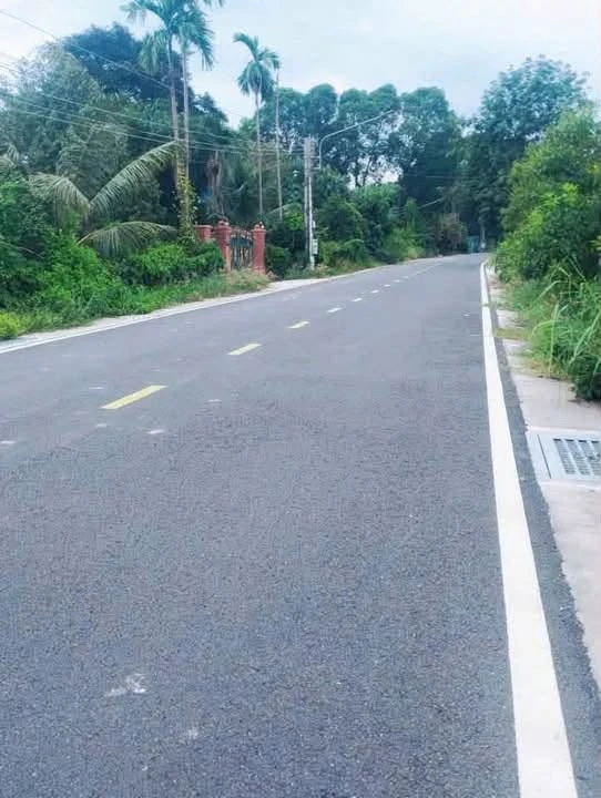 Bán lô đất 2,8 tỷ đường 12m Phú An Bình Chánh - Ảnh thu nhỏ 3