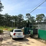 Bán lô đất 300m² Đà Lạt 700 triệu - Ảnh thu nhỏ 2