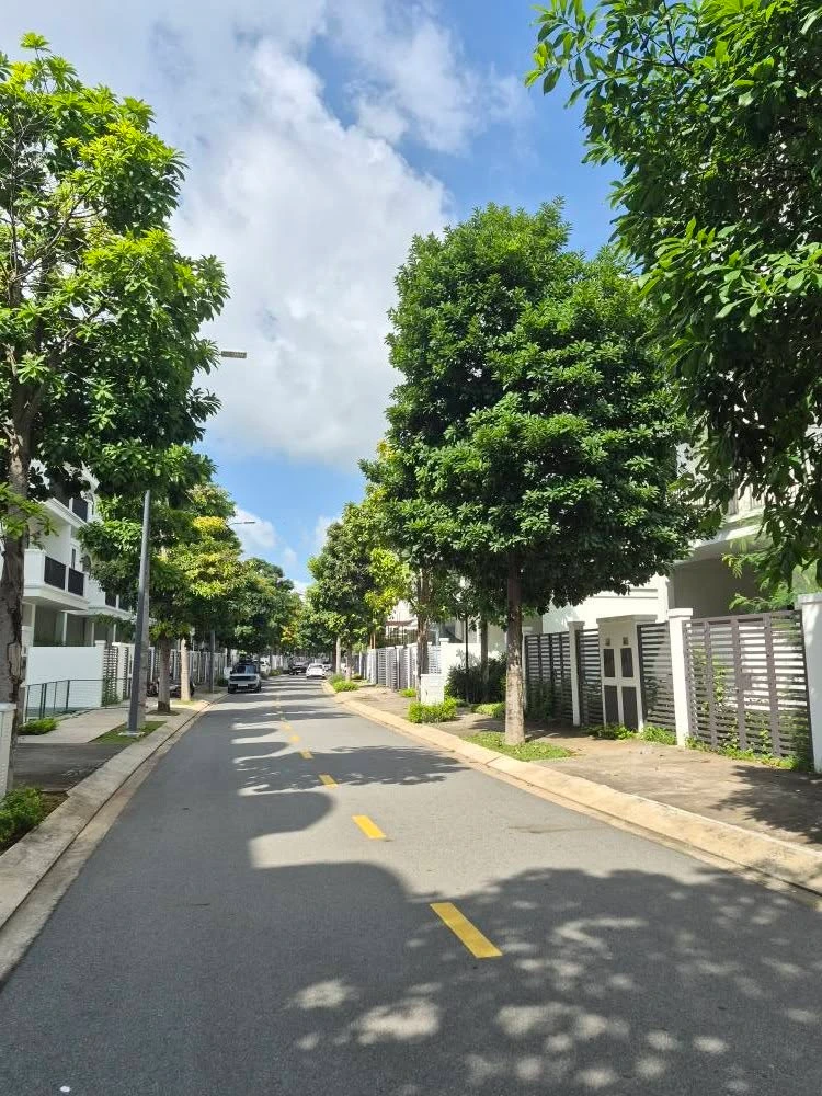 Bán nhà phố Lavida Vũng Tàu 87.5m², 4 lầu, 6.6 tỷ - Ảnh thu nhỏ 5