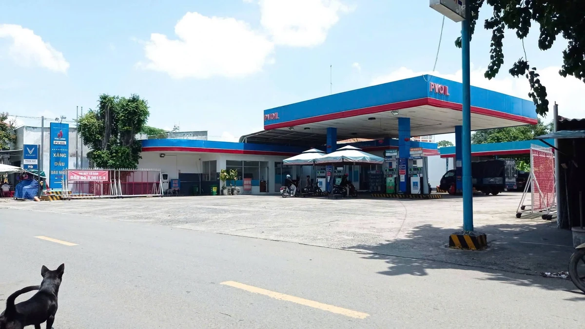 Bán lô đất mặt tiền Nguyễn Thị Tồn 84m2, 3 tỷ, Bình Chánh - Ảnh thu nhỏ 5