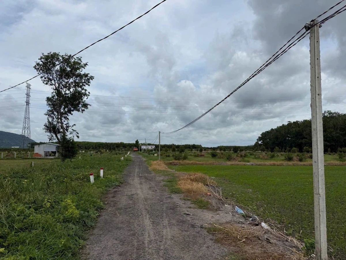 Bán đất vườn 1 công 275 triệu tại Suối Đá, Tây Ninh - Ảnh thu nhỏ 2