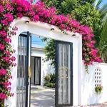 Bán nhà vườn Bình Lộc 240m² full thổ cư 500 triệu - Ảnh thu nhỏ 1