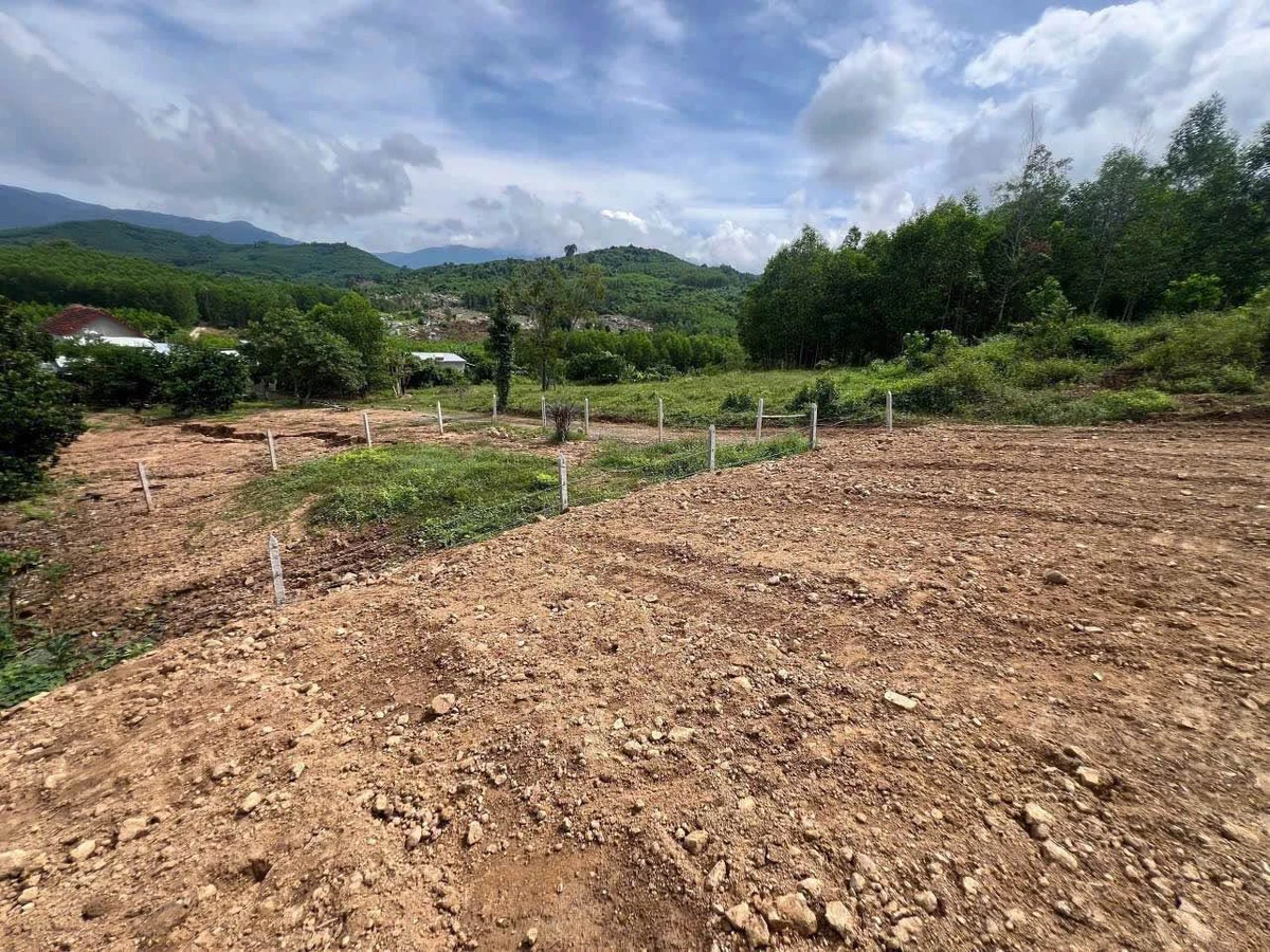 Bán đất Khánh Hòa 110m2 thổ cư hơn 100 triệu - Ảnh thu nhỏ 3