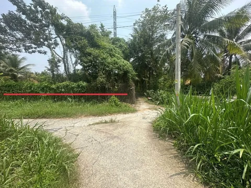 Bán đất công Sơn Đông Bến Tre 4.366m² 1.4tr/m² - Ảnh thu nhỏ 3