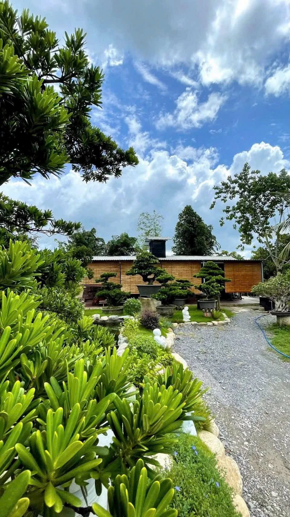 Bán villa 2000m2 mặt tiền Nguyễn Văn Khạ, Củ Chi, 7 tỷ - Ảnh 1