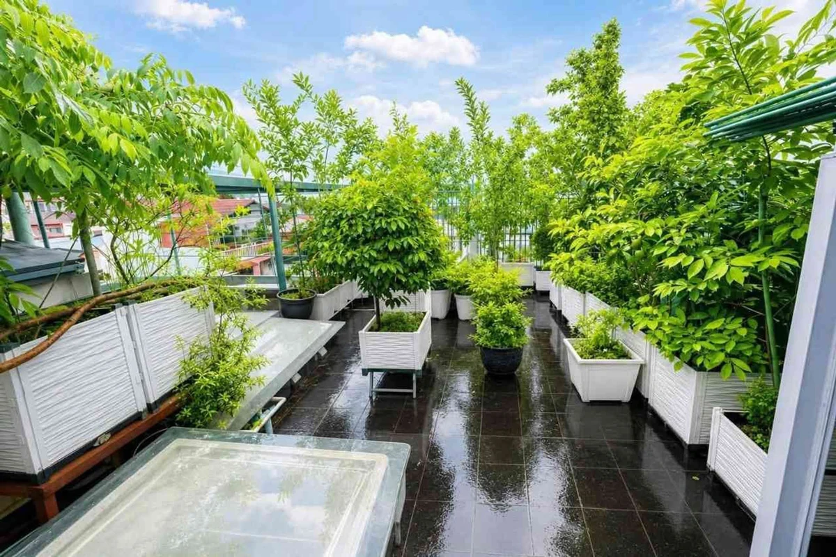 Bán nhà phố 5 tầng Kim Mã Ba Đình, 44m², 13,5 tỷ - Ảnh thu nhỏ 5