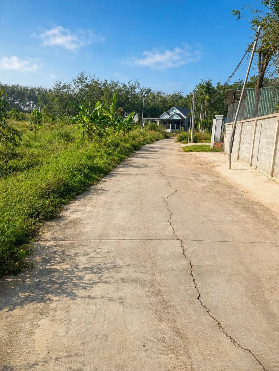 Bán 7,6 sào đất mặt tiền 50m Tân Đồng, Đồng Xoài 2 tỷ 2 - Ảnh 1