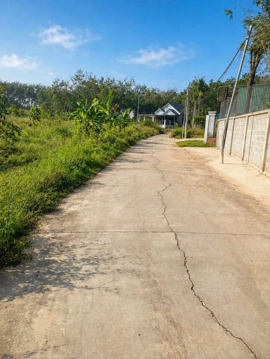 Bán 7,6 sào đất mặt tiền 50m Tân Đồng, Đồng Xoài 2 tỷ 2 - Ảnh 1