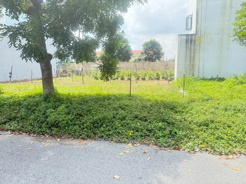 Bán đất 100m2 KDC 135 Thị trấn Bến Lức Long An