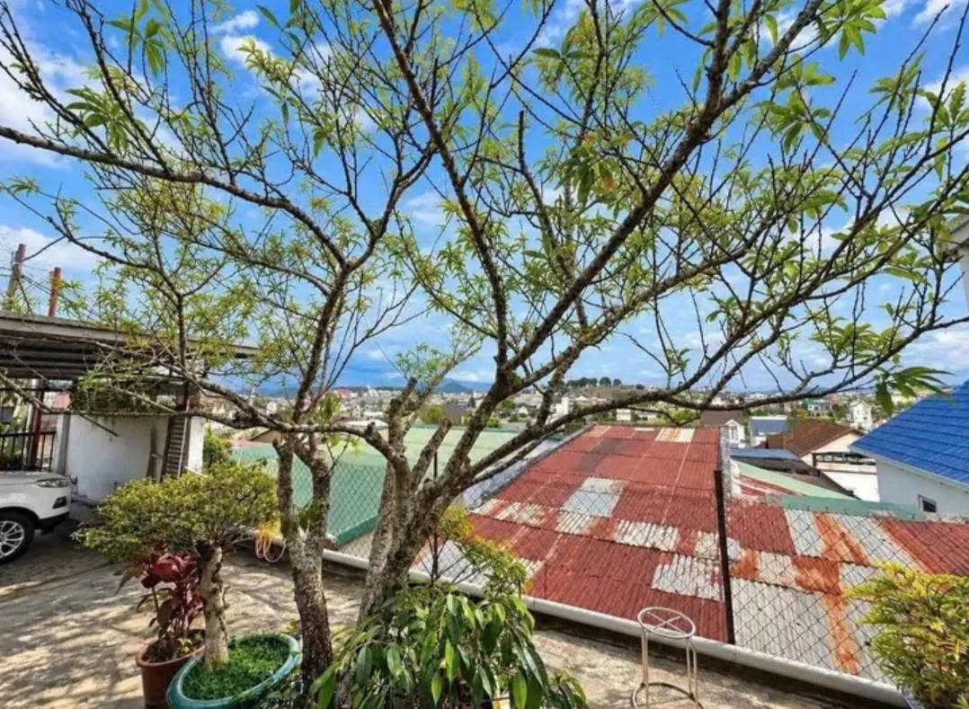 Bán nhà 215m2 Bạch Đằng Đà Lạt 7.5 tỷ - Ảnh thu nhỏ 4