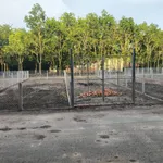 Đất nền Giồng Cà Bình Minh Tây Ninh 210m² 250 triệu - Ảnh thu nhỏ 1