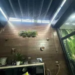 Bán nhà cấp 4 125m² Tiến Lợi, 1 tỷ 3 - Ảnh thu nhỏ 5