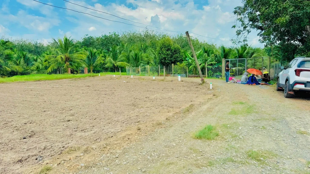 Bán đất nền Bình Lợi 125m² mặt tiền đường đá mi - Ảnh thu nhỏ 4