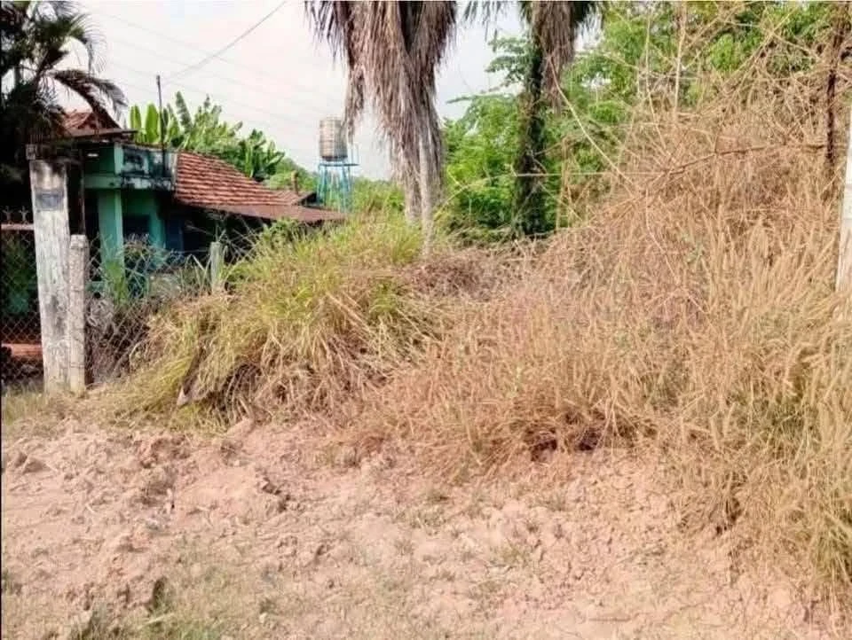 Bán lô đất mặt tiền ĐT744 Phú An Bình Chánh 3,5 tỷ - Ảnh thu nhỏ 4