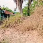 Bán lô đất mặt tiền ĐT744 Phú An Bình Chánh 3,5 tỷ - Ảnh thu nhỏ 4