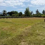 Bán đất thổ cư 160m² đường Đan, Tây Ninh, giá 330 triệu - Ảnh thu nhỏ 3
