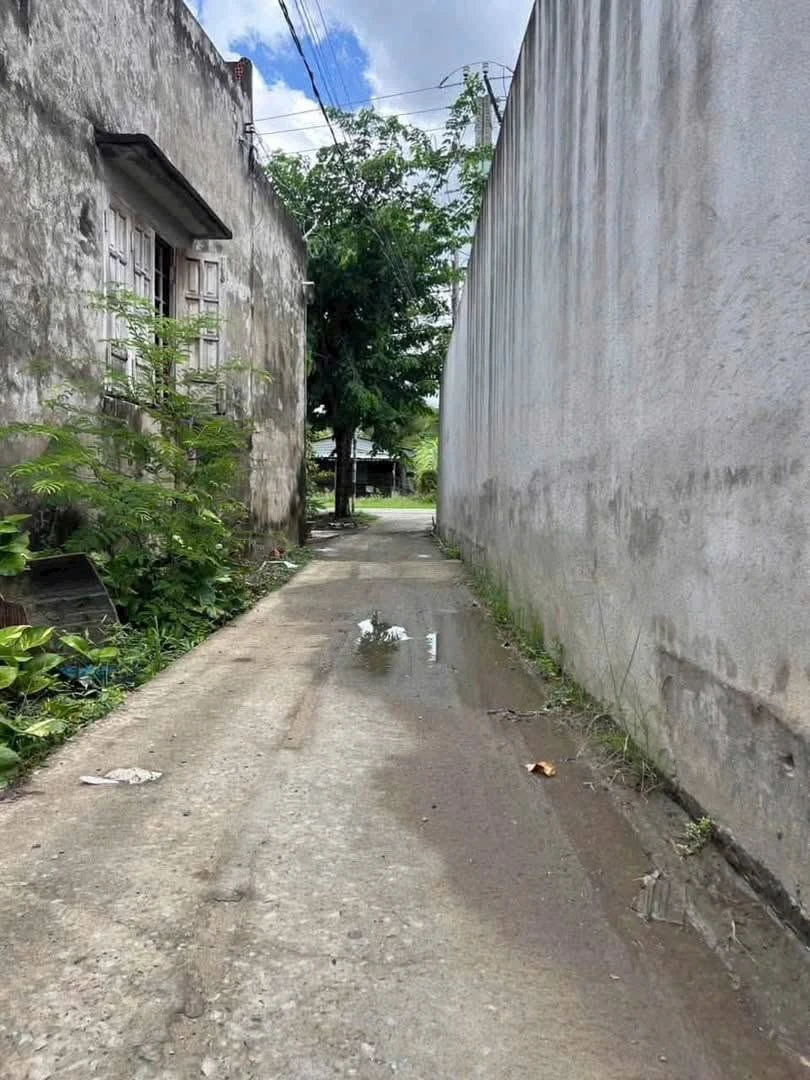 Bán 1000m² đất lúa xã Long Hòa, Cần Đước, Long An - Ảnh thu nhỏ 2
