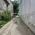 Bán 1000m² đất lúa xã Long Hòa, Cần Đước, Long An - Ảnh thu nhỏ 2