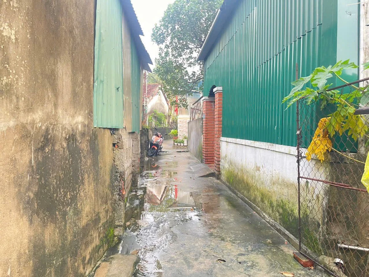 Bán đất 70m2 ngang 5m, gần ĐH Vinh, 800 triệu - Ảnh thu nhỏ 2