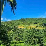 Bán 1,8ha vườn cà phê Bảo Lộc có trại heo - Ảnh thu nhỏ 2