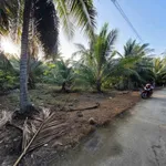 Bán đất Sơn Đông Vĩnh Long 666m2 giá 1 tỷ 180 triệu - Ảnh thu nhỏ 3