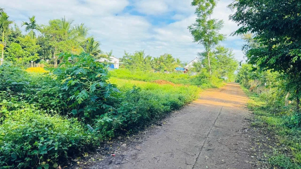 Bán đất Komleo Hòa Thắng 150m² 1,29 tỷ - Ảnh thu nhỏ 2