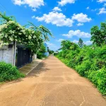 Bán lô đất 175m² Phạm Ngũ Lão, Nhà Bè, 2 tỷ 250 - Ảnh thu nhỏ 1