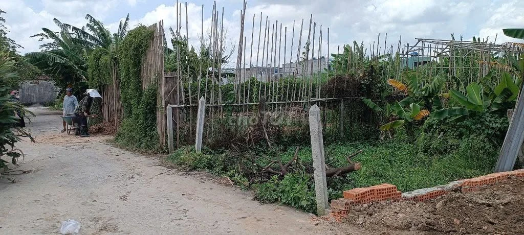 Bán đất hẻm ô tô thông Bình Mỹ, Củ Chi 115m² - Ảnh thu nhỏ 4