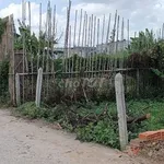 Bán đất hẻm ô tô thông Bình Mỹ, Củ Chi 115m² - Ảnh thu nhỏ 4