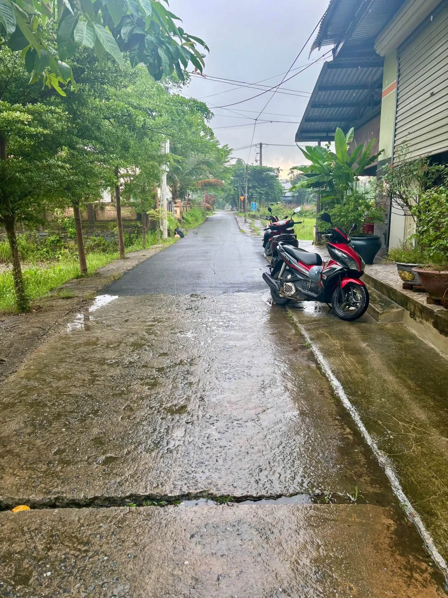 Bán đất 200m² Hoà Tiến, sát đường 409, 1,25 tỷ - Ảnh 1