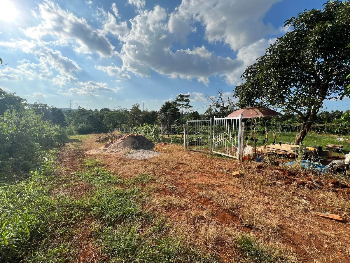 Bán đất 2.400m² Trương Định Pleiku, view ruộng - Ảnh thu nhỏ 4