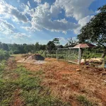 Bán đất 2.400m² Trương Định Pleiku, view ruộng - Ảnh thu nhỏ 4
